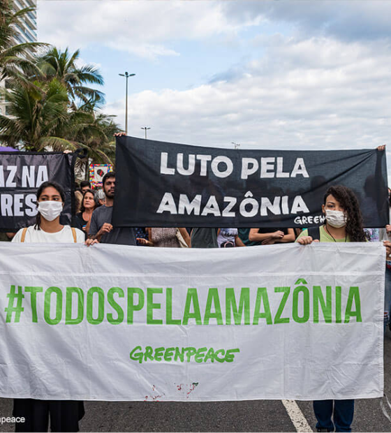 O que acontece na Amazônia, não fica - Greenpeace Brasil