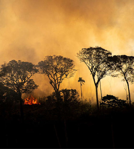 O que vem depois de 2023, o ano mais quente de toda a história? 
