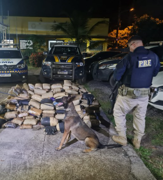 PRF apreende 325 kg de maconha escondidos em fundo falso e pneus de caminhão, em Marabá