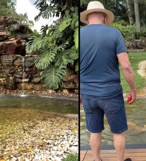 Sobre a cascata artificial da Granja do Torto e “a exuberância que une Collor e Janja”