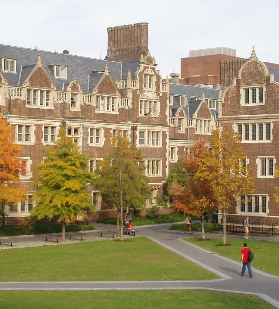 Jornal inglês lista os dez melhores MBAs do mundo em 2025; Veja ranking