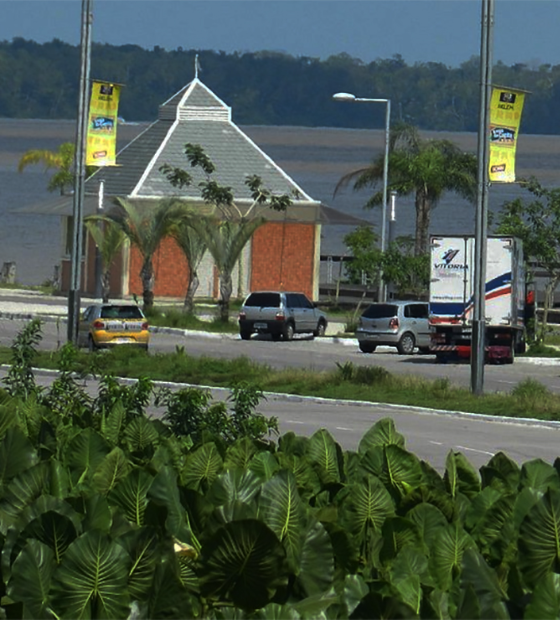 Enquanto mata é abatida de um lado, mato cresce sem regras no Portal da Amazônia, do outro lado