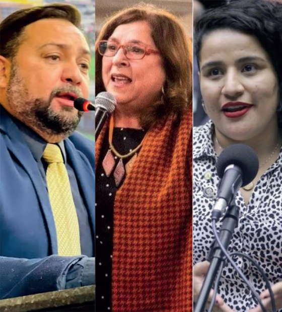 Falta de decoro na Câmara de Belém provoca rede social e favorece críticas à figura dos políticos