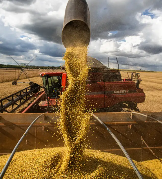 Cortes no seguro rural devem desestimular investimentos e a competitividade no setor agrícola