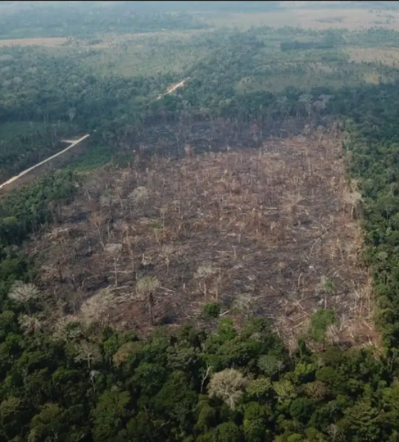 Justiça aceita denúncia do MPF contra fazendeiro por incêndio, porte ilegal de arma e falsa identidade no Pará