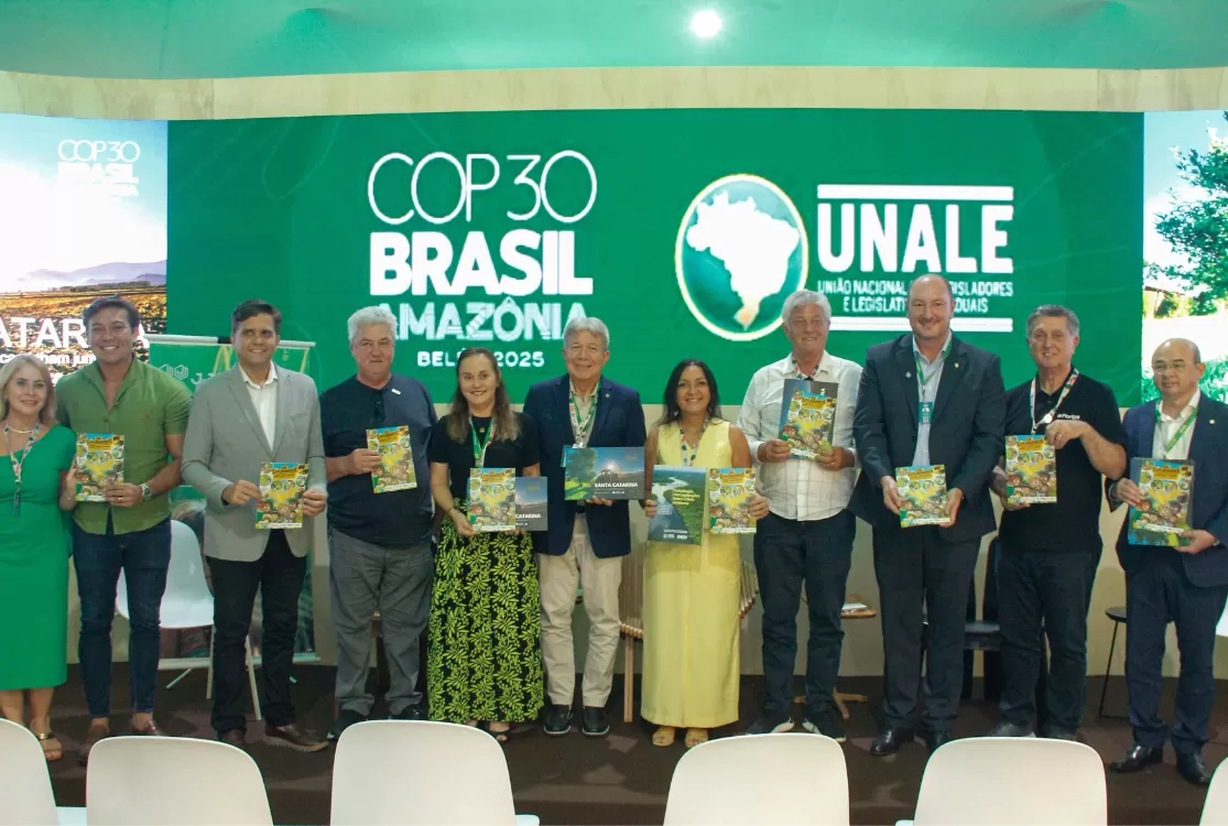 Deputados da Alepa debatem sobre as mudanças climáticas e energia sustentável