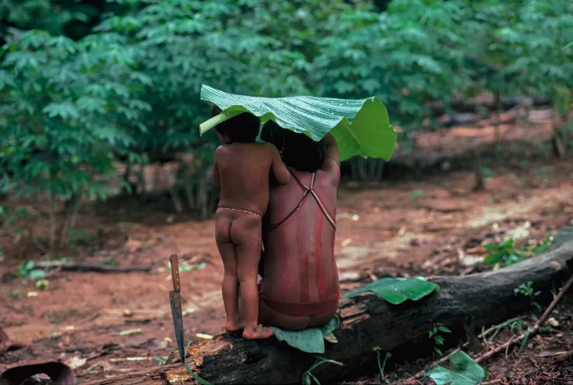 Banco da Amazônia exibe exposição “Hiromi Nagakura até a Amazônia com Ailton Krenak”