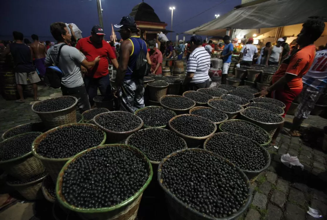 Documento regulamenta descarte e reaproveitamento do caroço de açaí na capital