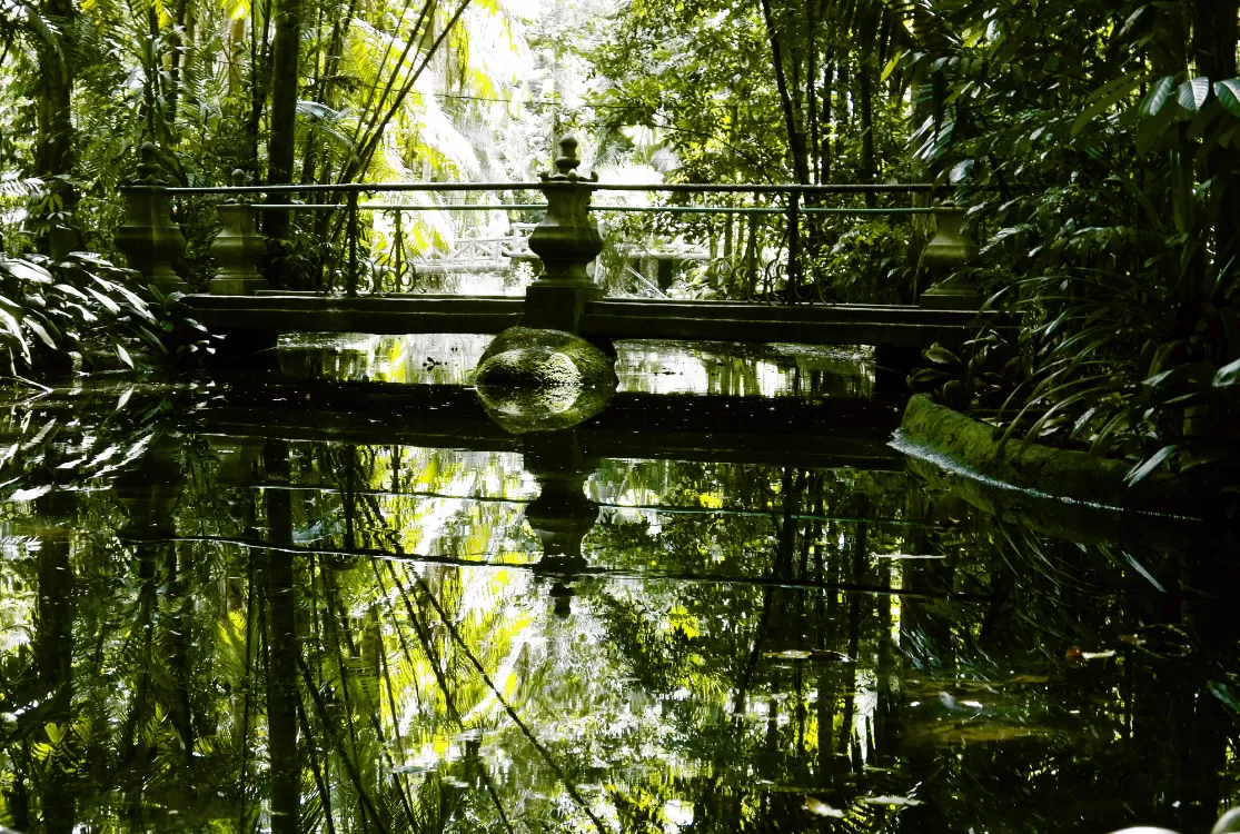 Bosque Rodrigues Alves terá entrada gratuita neste final de semana