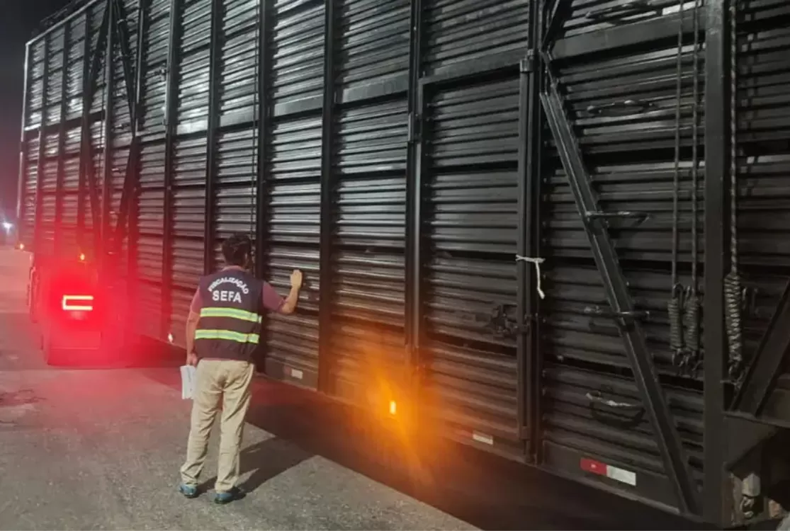 Sefa apreende 120 cabeças de gado na divisa do Pará com o Maranhão