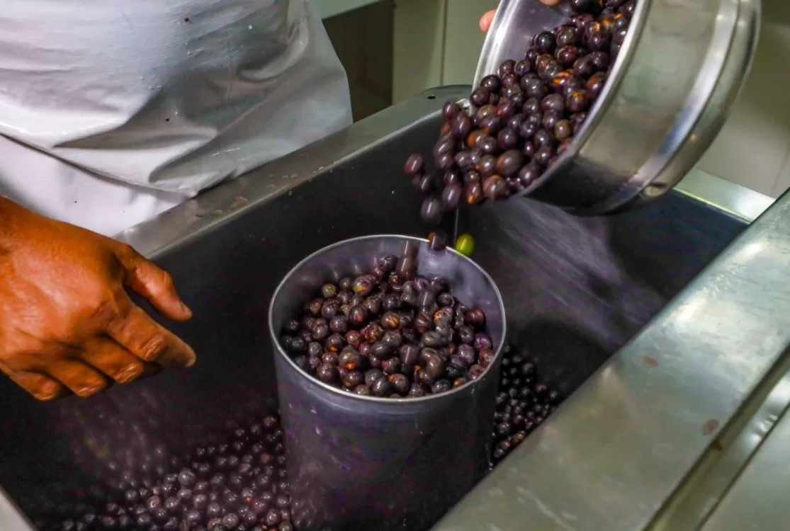 Arbel convoca Audiência Pública para debater manejo e descarte do caroço de açaí