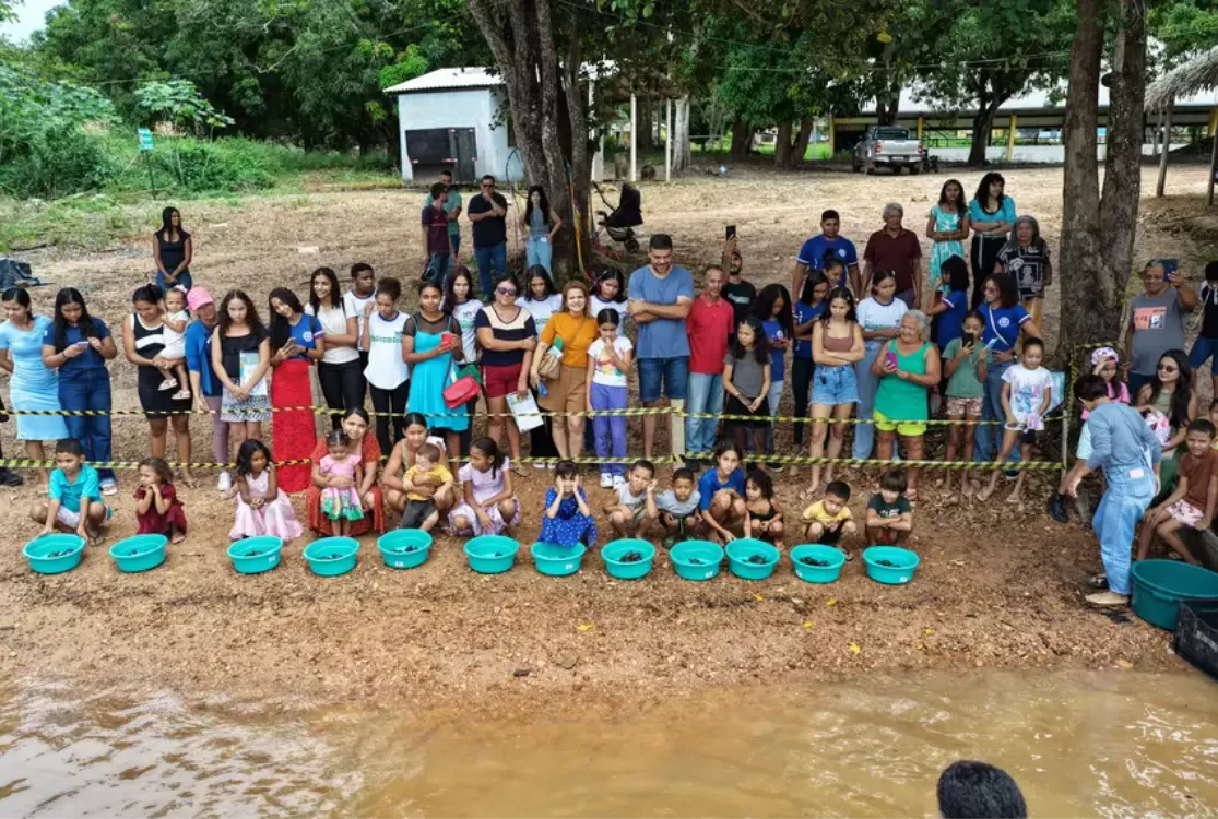 Sete mil quelônios são devolvidos à natureza em comunidades do Lago de Tucuruí