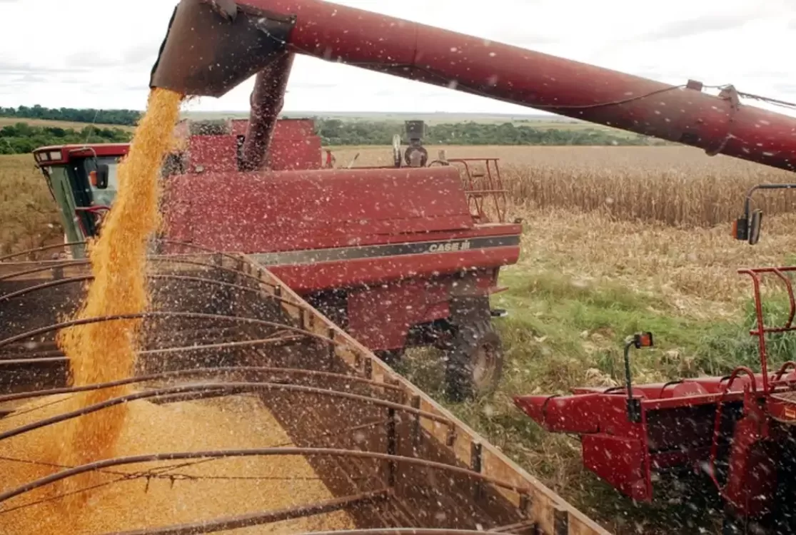 Sicredi libera R$ 48,3 bilhões nos primeiros oito meses da Safra 2025/2026