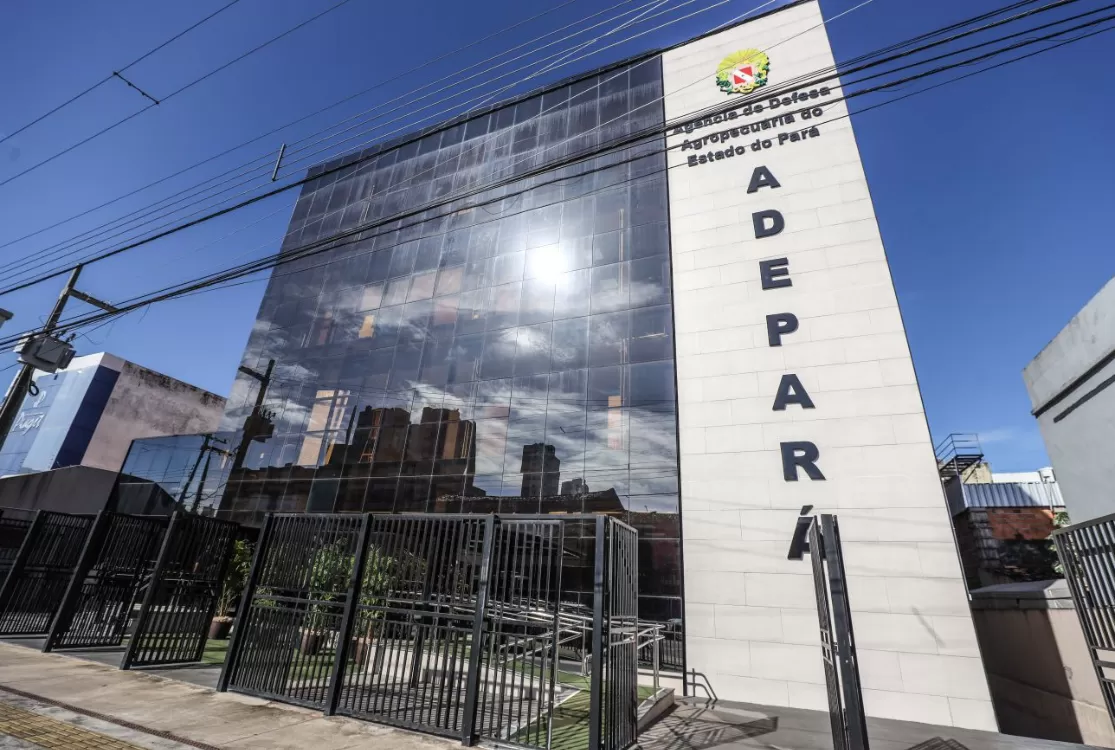 Adepará oferta 16 vagas temporárias com salários de até R$ 2.945,00
