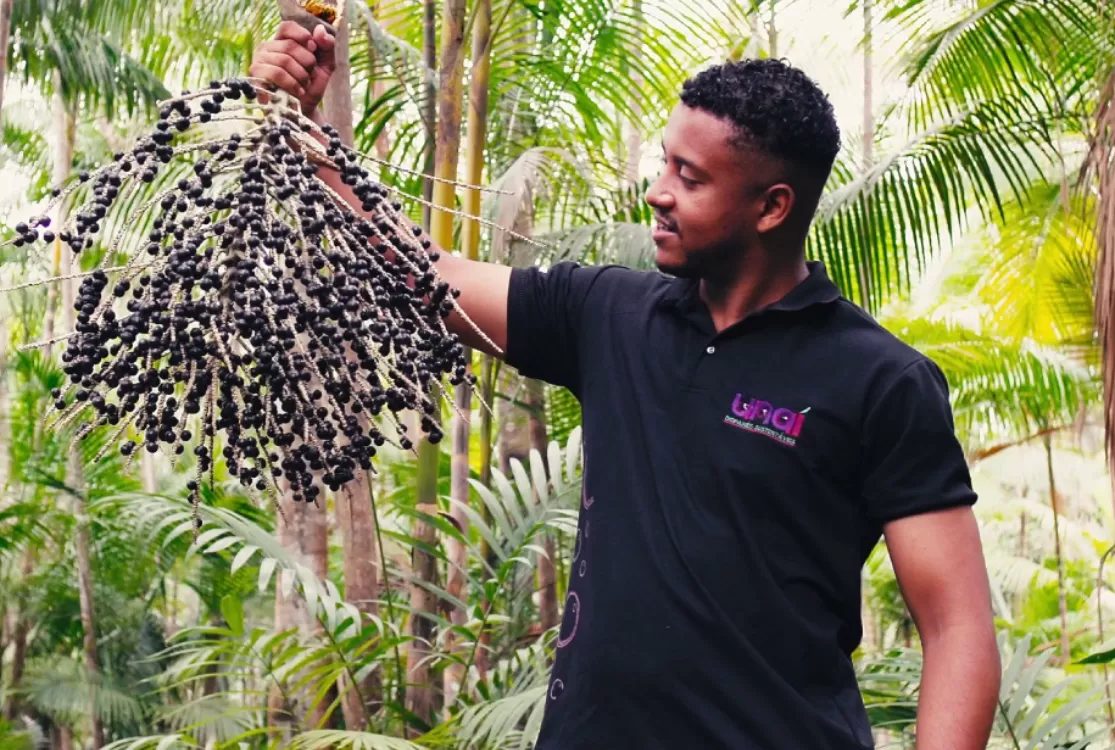 Da Amazônia ao mundo: paraense transforma resíduo de açaí em solução global