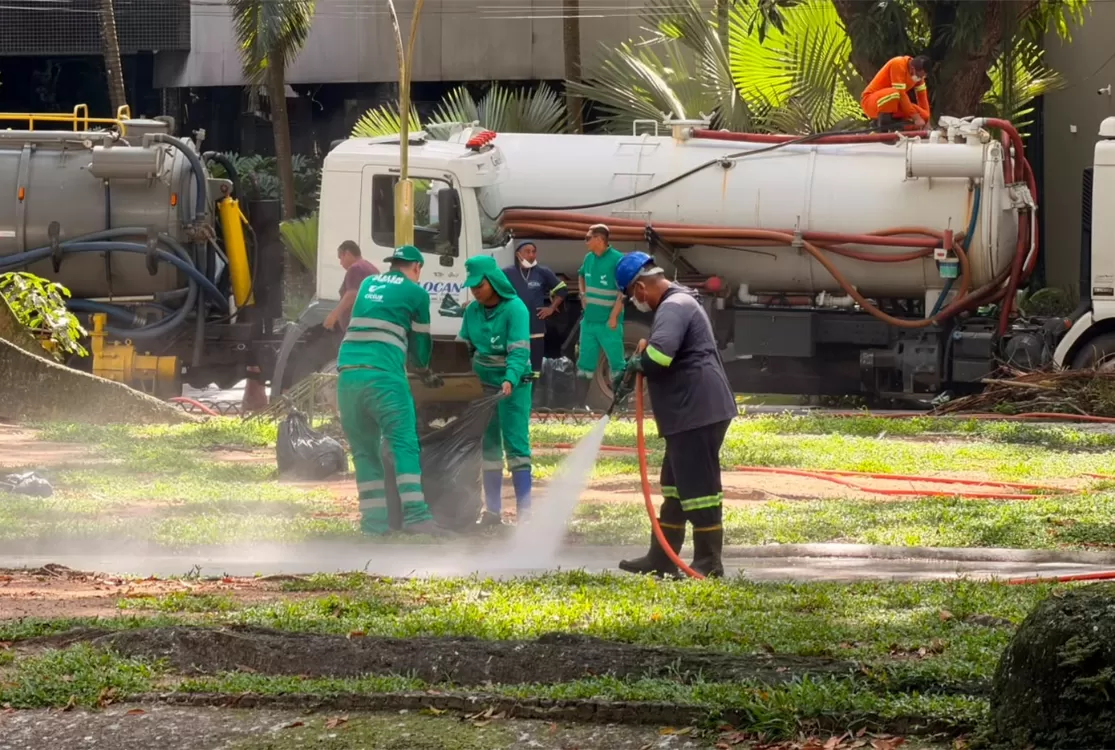 Sobre garças, peixes e outros bichos, o certo é que a praça é a cara do desequilíbrio