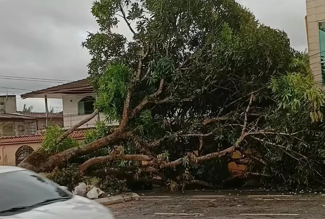 Susto de Mosqueiro acende alerta sobre fúria climática que pode visitar Belém