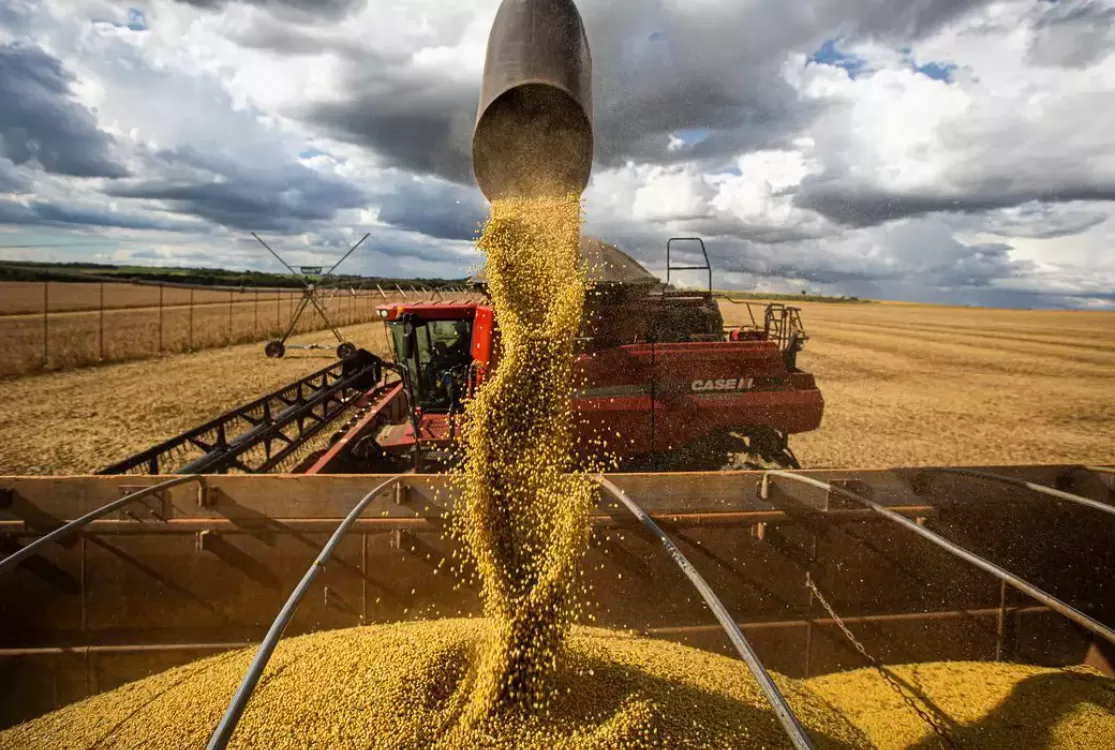 Preço agrícola competitivo do Brasil deve incitar barreiras externas, diz Abag