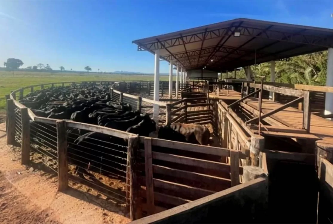 Justiça do Pará anula matrículas de três fazendas e manda Estado retomar áreas