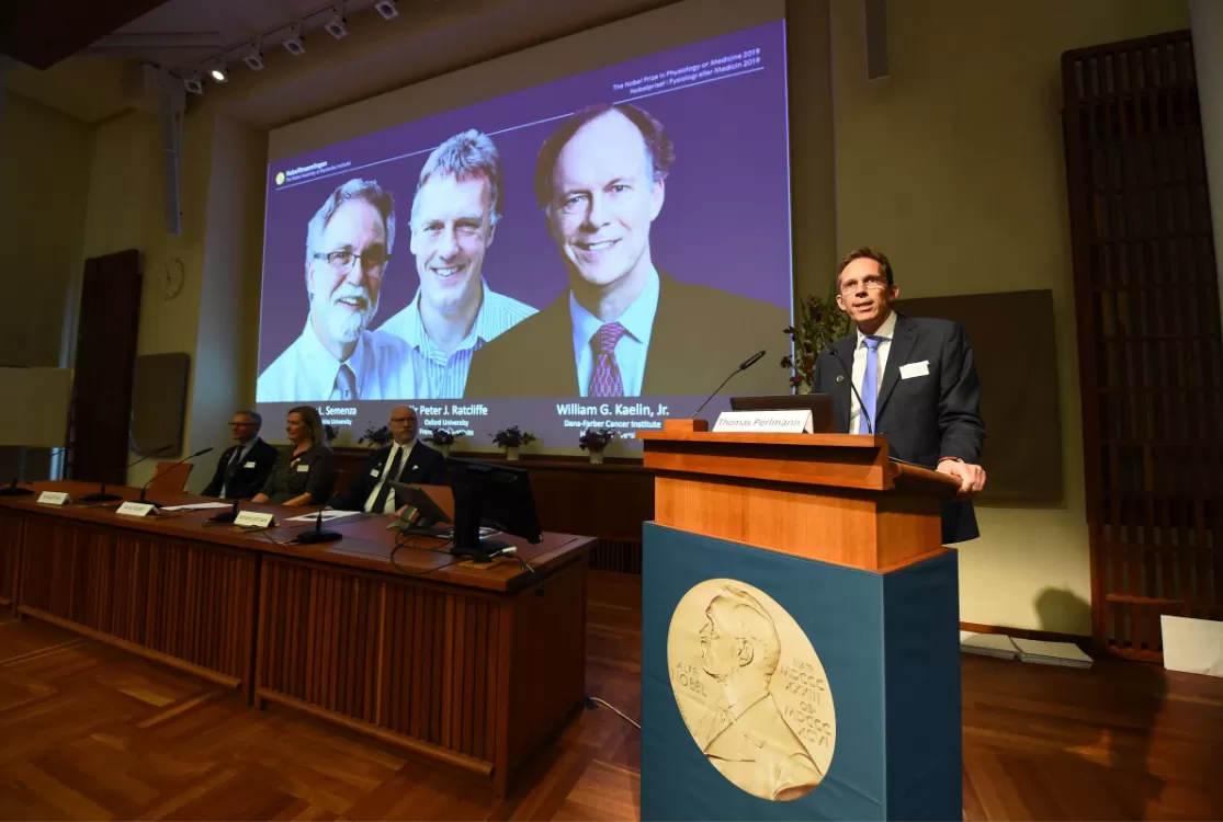 Nobel de Medicina vai para 3 cientistas por pesquisas sobre atividade cerebral