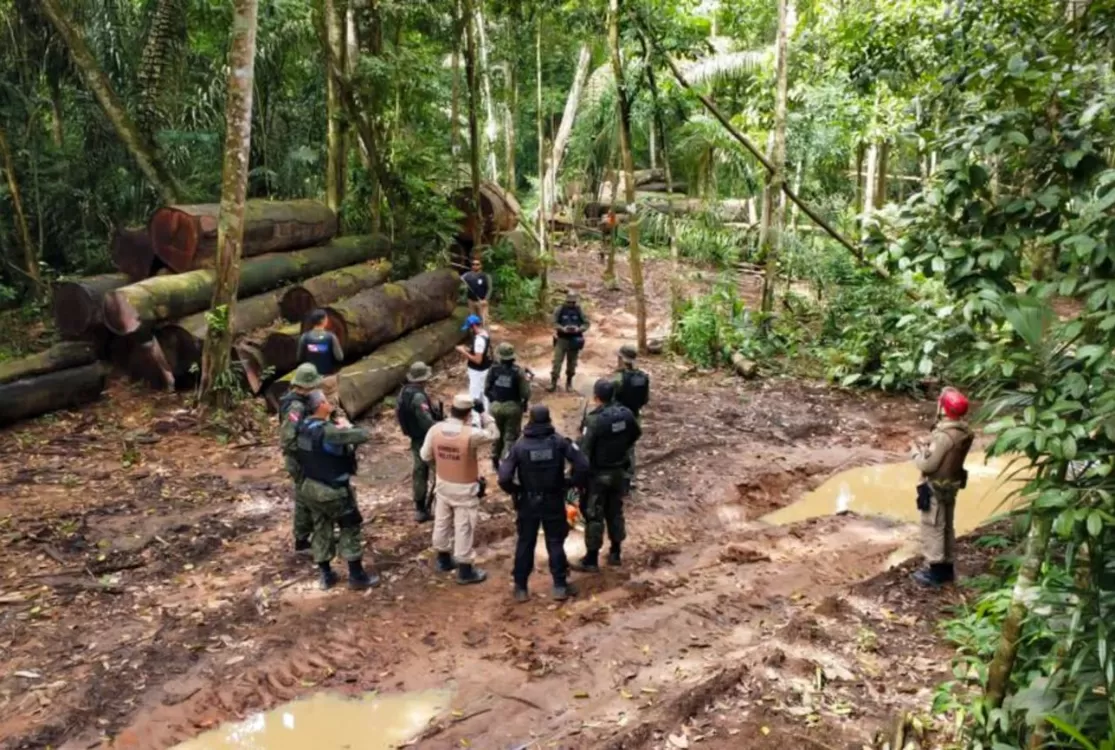 Clima, Amazônia e minerais críticos entram no centro do debate sobre segurança