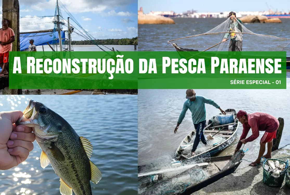 A pesca paraense esquecida na UTI: quem afundou toda essa riqueza?